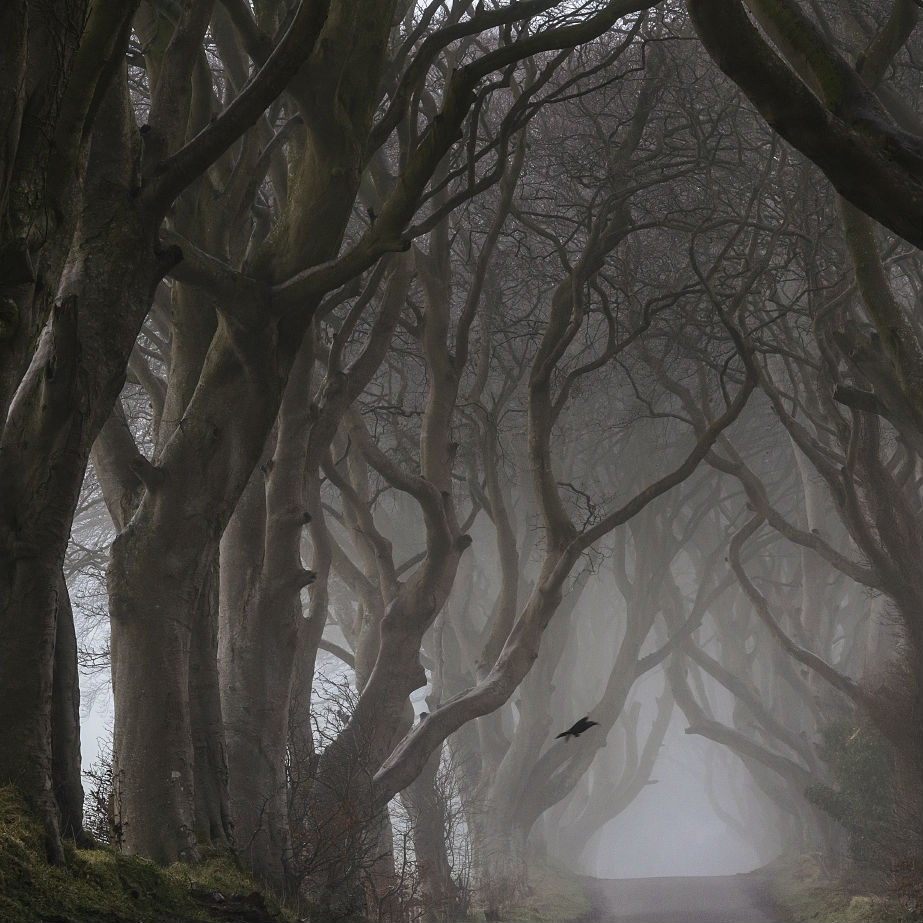 Branding secrets small businesses can learn from Games of Thrones Branding secrets small businesses can learn from Games of Thrones