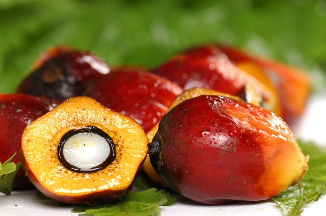 Health Benefits of Palm Kernel Oil