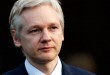 Assange Will Surrender If Legal Bid Fails