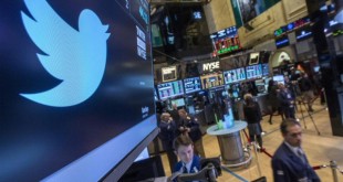 Twitter Shares Plunge As Usage Number Falls